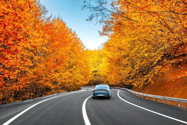 A gray sedan driving down a winding two-lane road lined with bright orange and yellow autumn trees